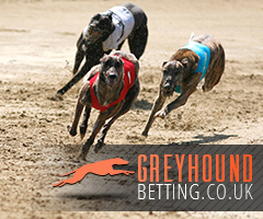 www.greyhoundbetting.co.uk